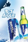 雪花香港發展有限公司