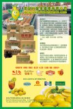 炳記行貿易有限公司