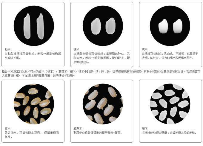 靚米在台灣_1