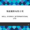 161-WELL SYERGY INTERNATIONAL LTD.